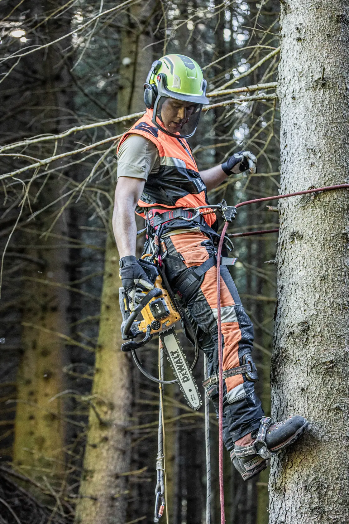 Řetězová pila s horní rukojetí 54 V XR FLEXVOLT - 1 x 9 Ah