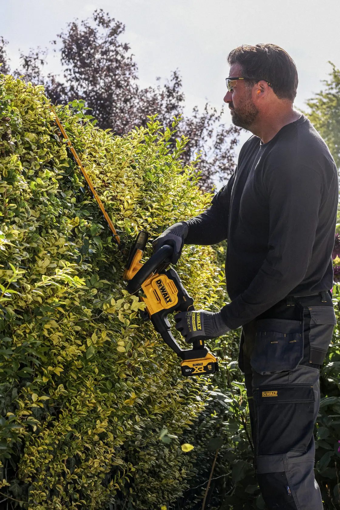 DEWALT hedge trimmer used outdoors. Shown SKUs: DCMHT567N, DCMHT567P1-QW, DCMHT567N-XJ, DCMHT567P1.