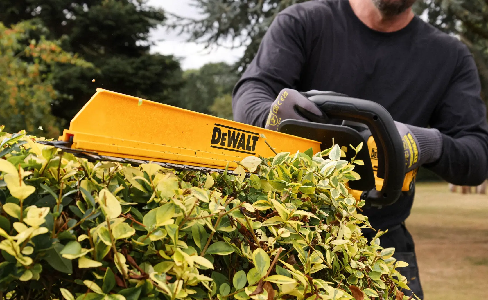 DEWALT hedge trimmer in use. SKUs: DCMHT567N, DCMHT567P1-QW, DCMHT567N-XJ, DCMHT567P1. Photography category.