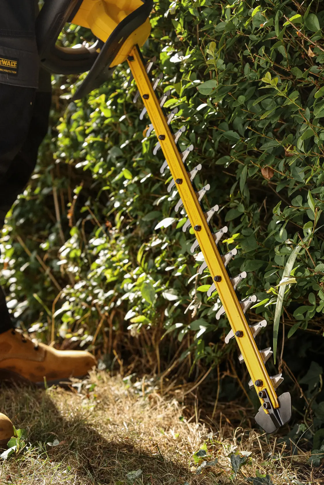 DEWALT hedge trimmer cutting bush. SKUs: DCMHT567N, DCMHT567P1-QW, DCMHT567N-XJ, DCMHT567P1. Photography.