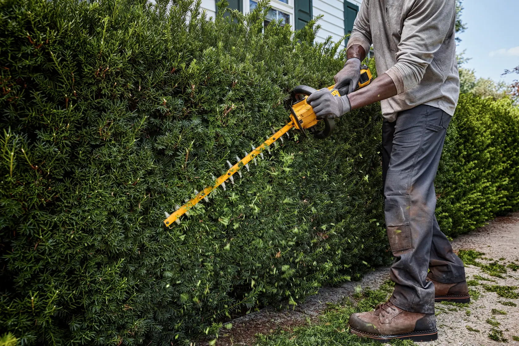 Tyčové nůžky na živé ploty 54 V XR 31 mm - Bez baterie
