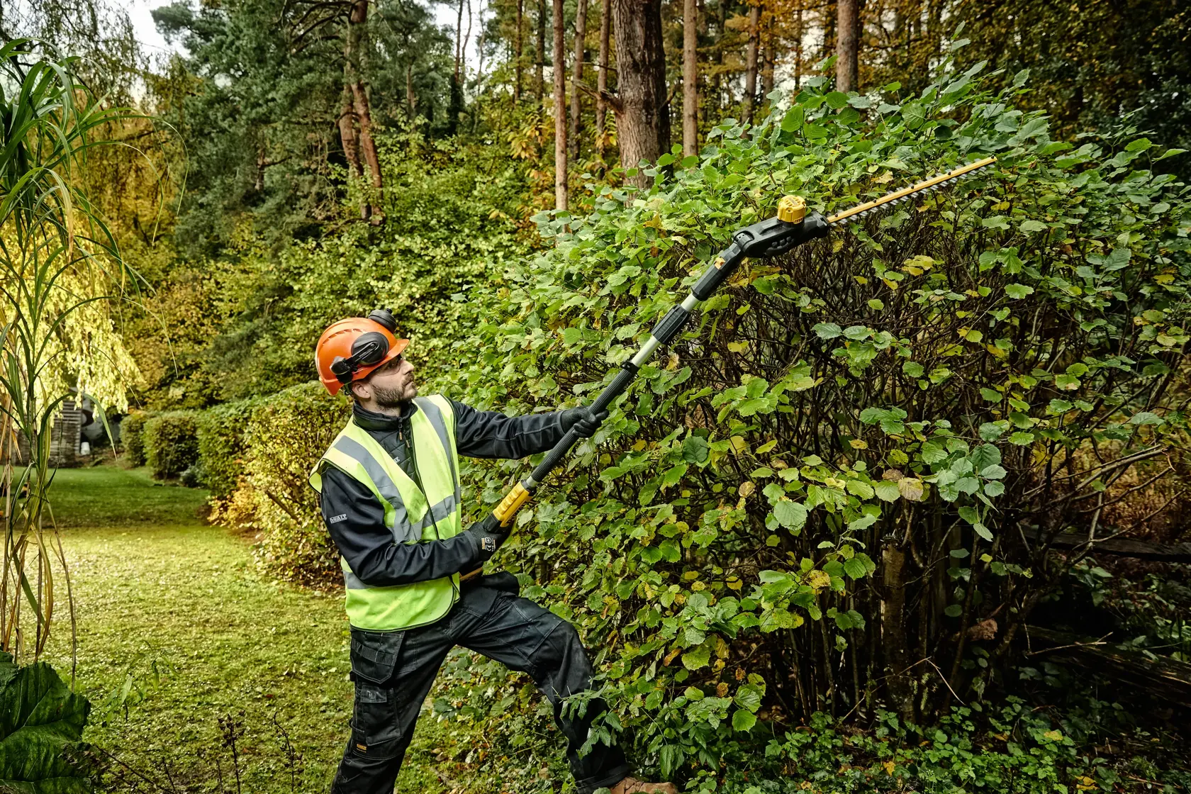 Nůžky na živé ploty 18 V XR s prodlužovací tyčí - 1 × 5,0 Ah