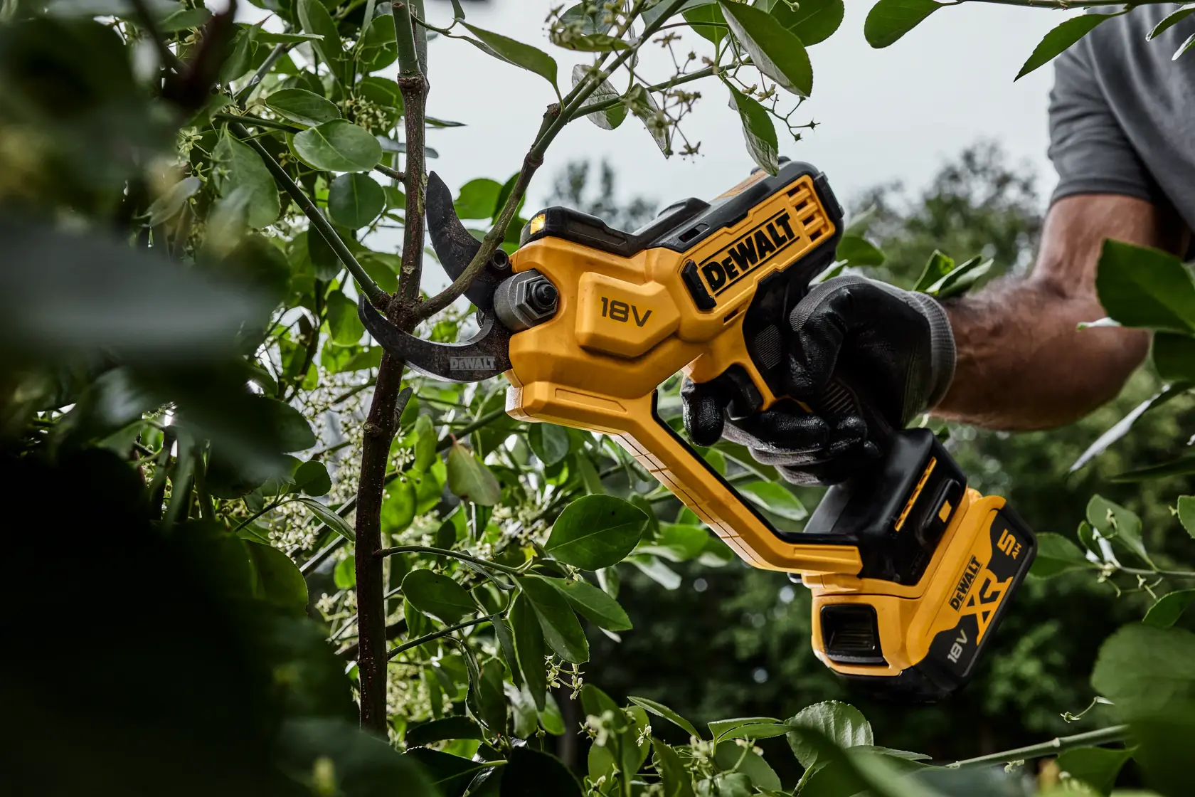 Akumulátorové nůžky na větve 32 mm, 18V XR - 1 × 5 Ah