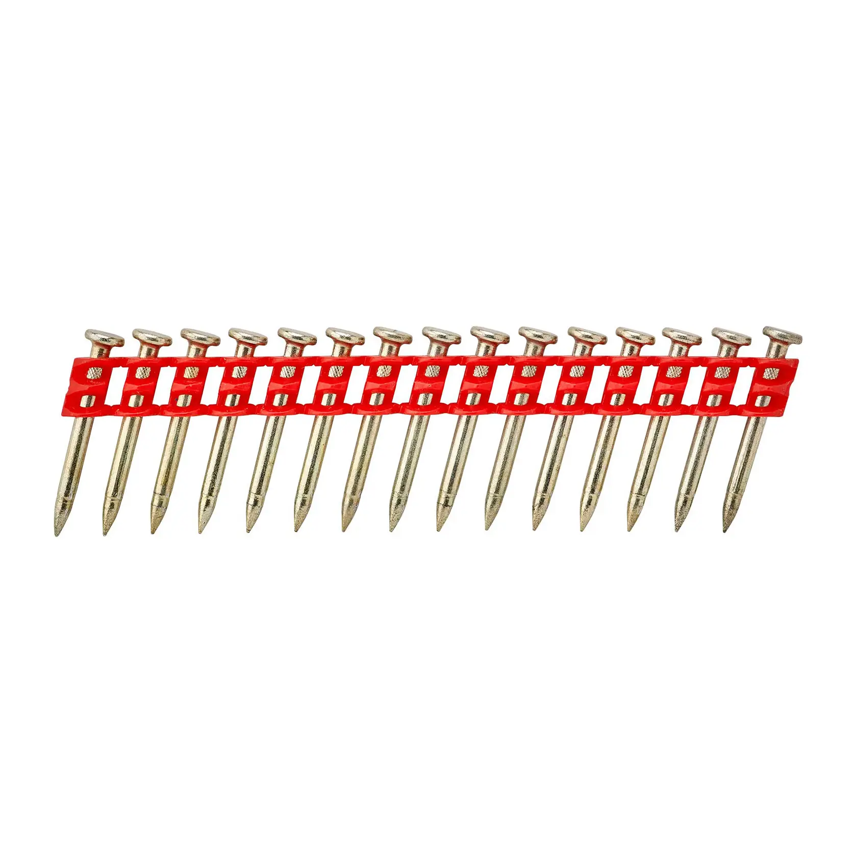 A strip of collated nails with a red plastic holder arranged in a row for use with a nail gun.